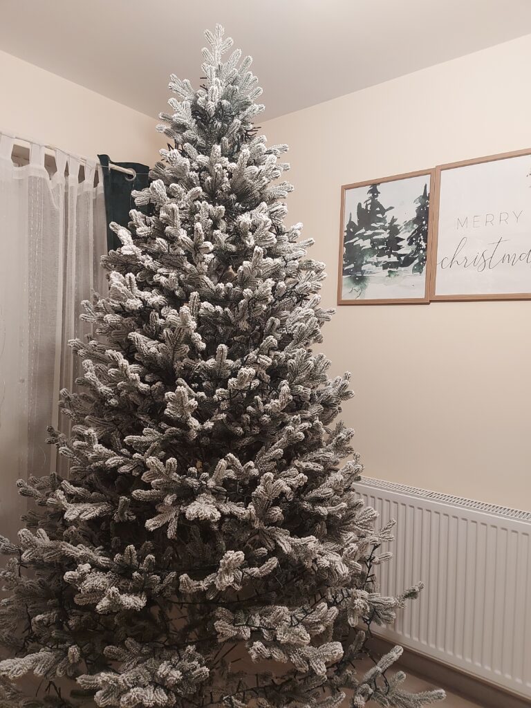 Image #1 from Magda Serban