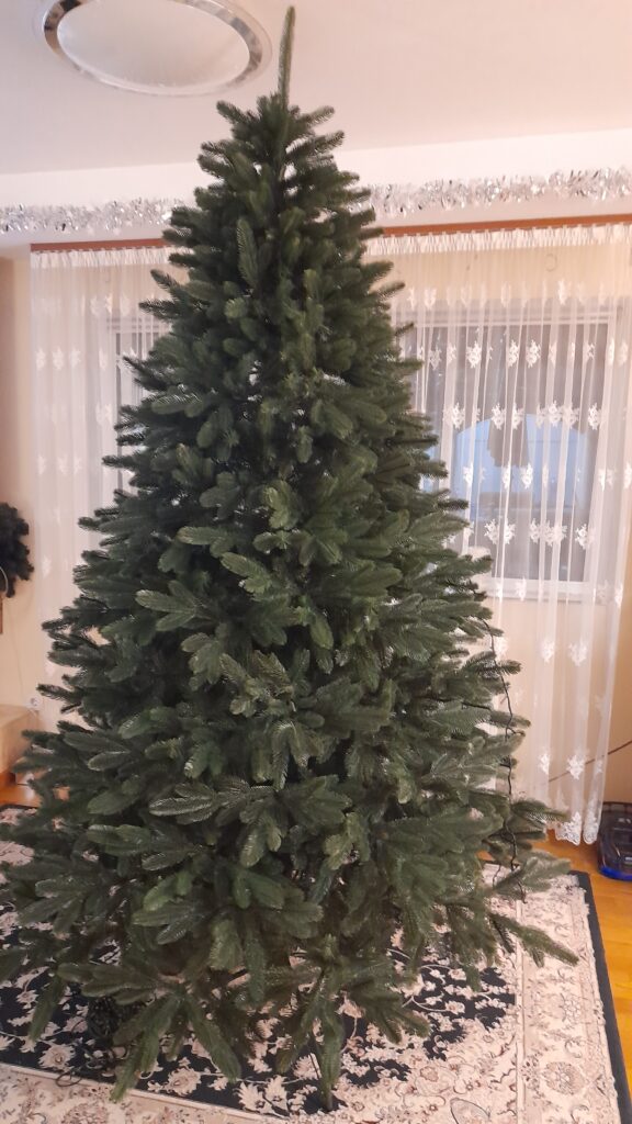 Image #4 from Elena - Iulia Roman