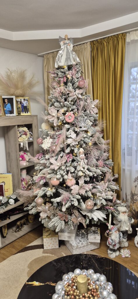 Image #1 from Stoica Corina Elena