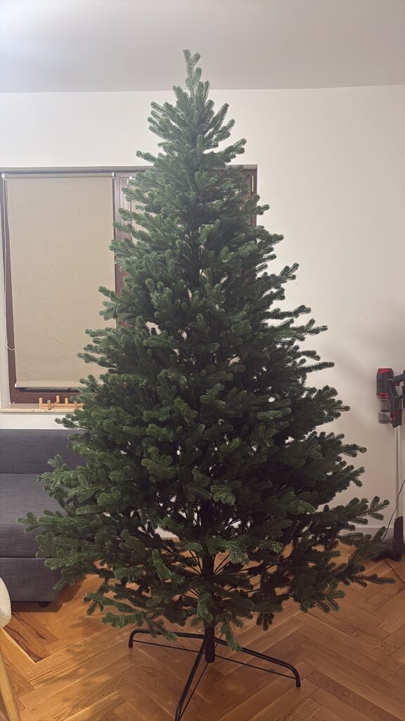 Image #1 from Tabita Zimta-Streinu