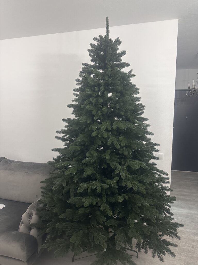 Image #2 from Simona