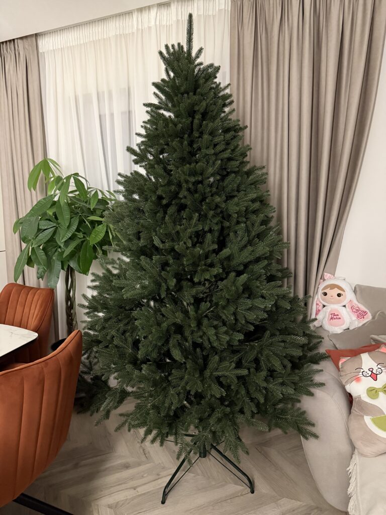 Image #2 from Boaca Florentina