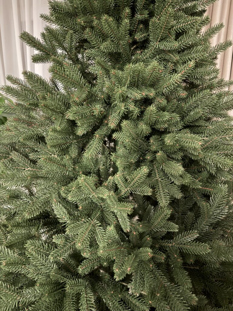 Image #3 from Boaca Florentina