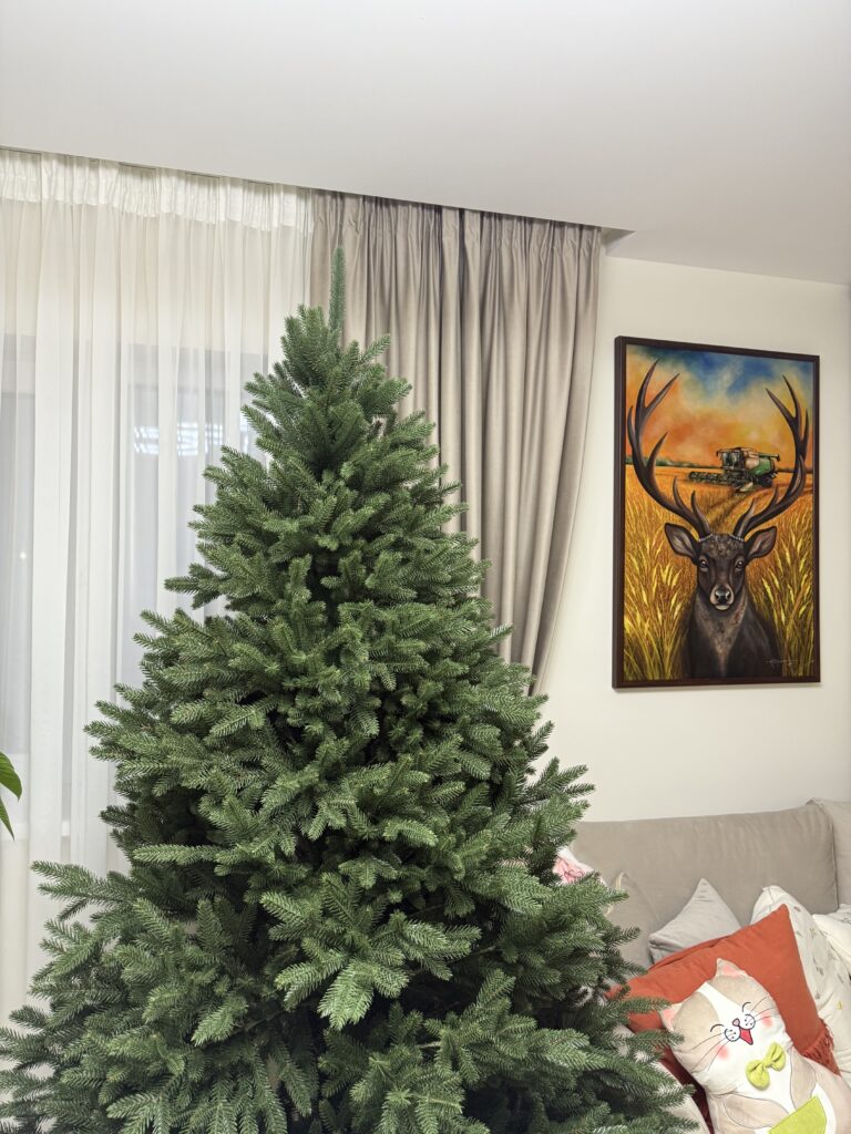 Image #1 from Boaca Florentina