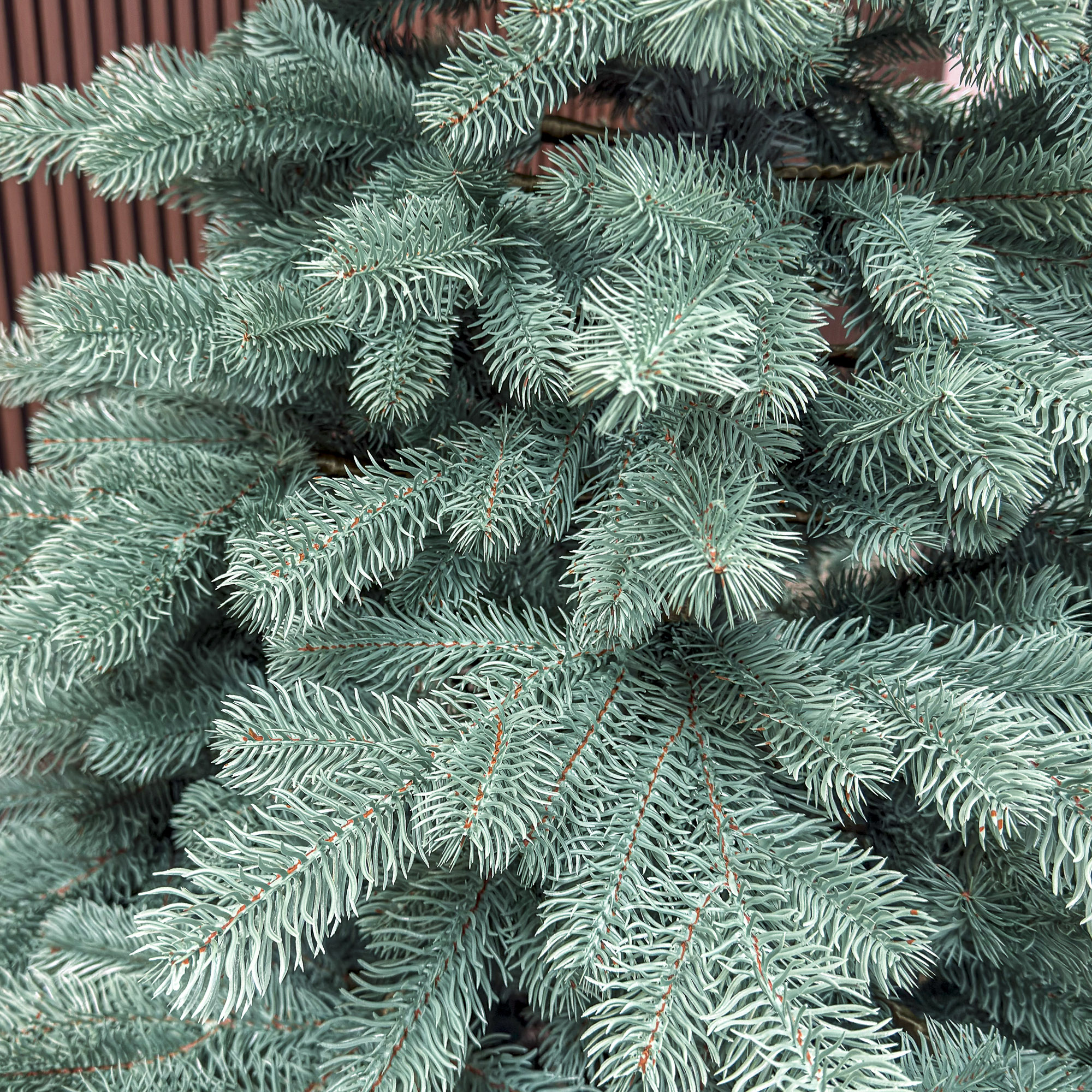 Brad artificial Christmas Deluxe by Sersimo, Kovalivka Select argintiu, integral 3D, 210 cm - imagine 8