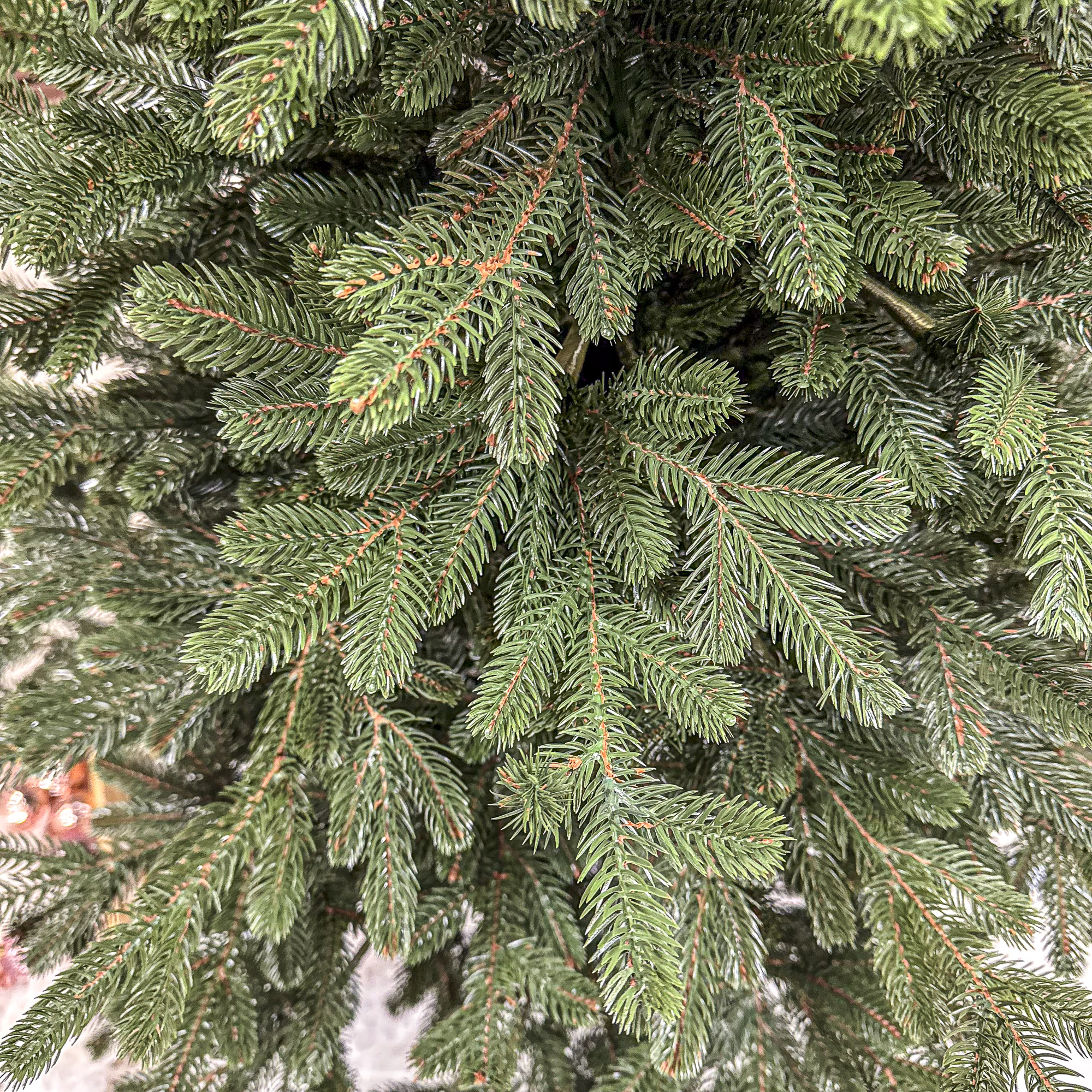 Brad artificial Christmas Deluxe by Sersimo, Viena Select, integral 3D, 180cm - imagine 12