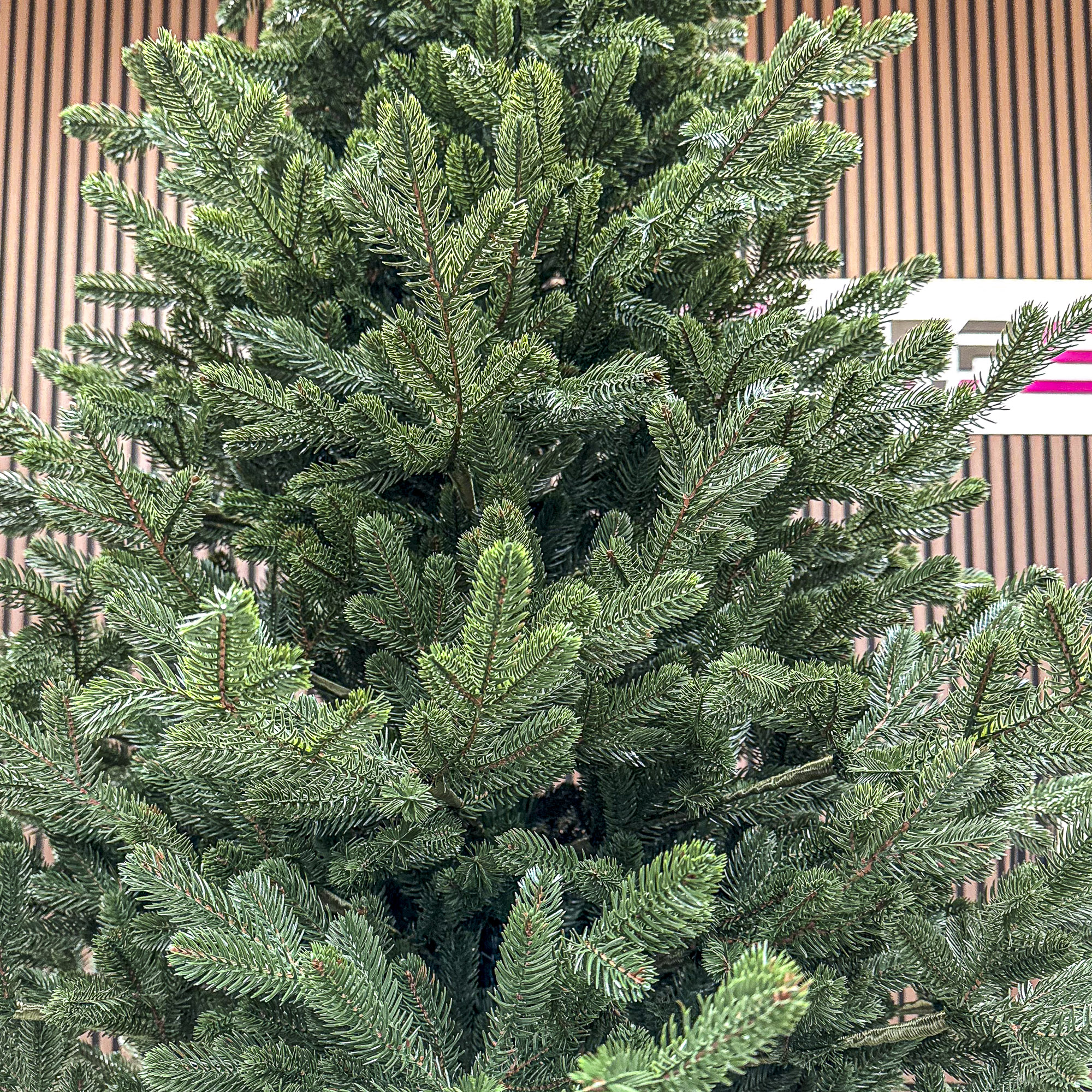 Brad artificial Christmas Deluxe by Sersimo, Viena Select, integral 3D, 180cm - imagine 13