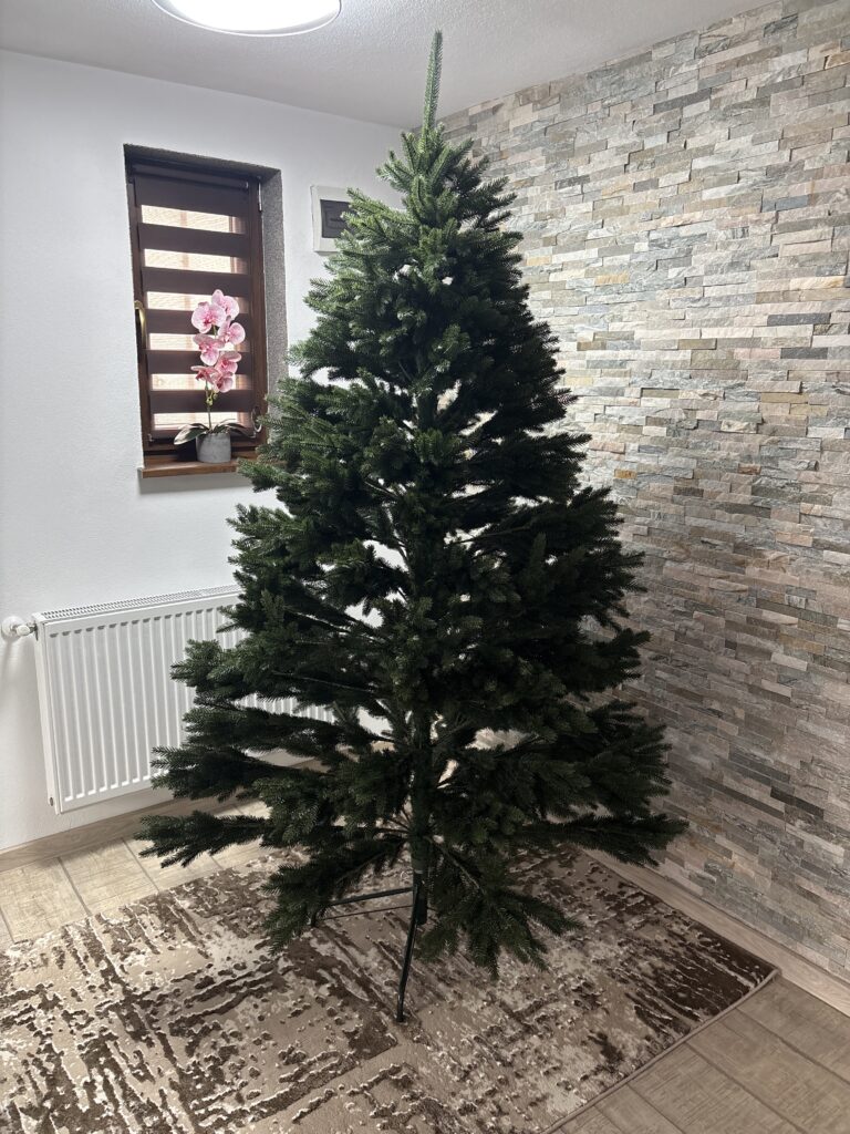 Image #1 from Ana Cristescu