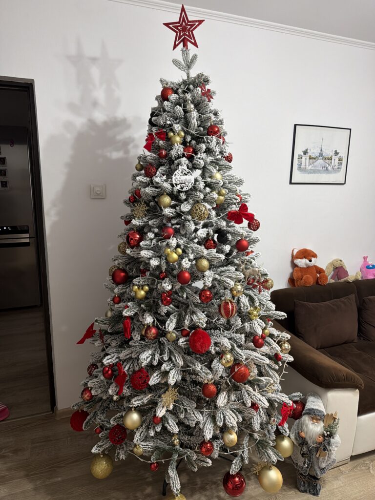 Image #1 from Hodut Nicola