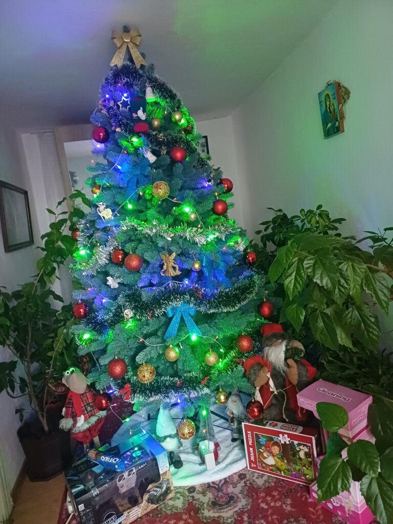 Image #2 from Raluca Bercaru