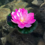 Lampa solara LED de gradina, plutitoare pe apa, floare de nufar roz, 18x18x6cm