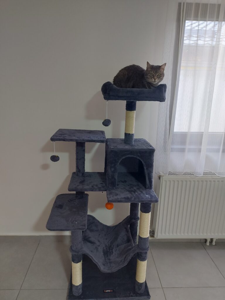 Image #1 from andreea stancu