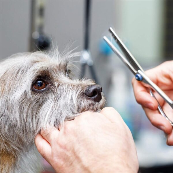 Set de ingrijire pentru animale de companie, cu 4 foarfece pentru tuns si accesorii - imagine 18