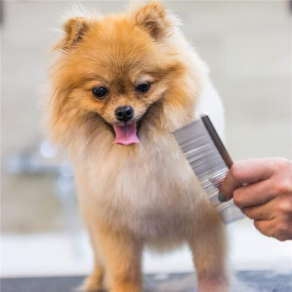 Set de ingrijire pentru animale de companie, cu 4 foarfece pentru tuns si accesorii - imagine 7