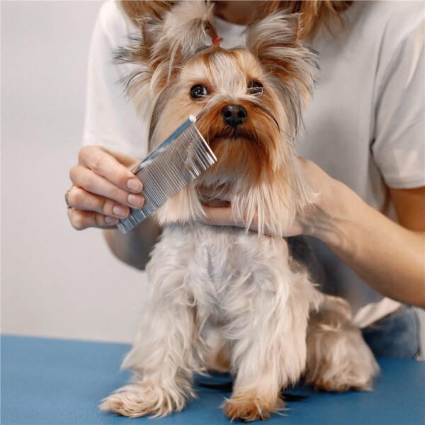 Set de ingrijire pentru animale de companie, cu 4 foarfece pentru tuns si accesorii - imagine 8
