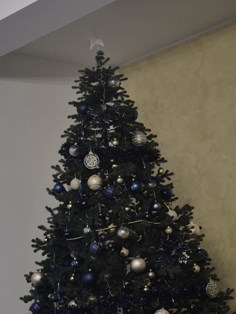 Image #1 from Lavinia