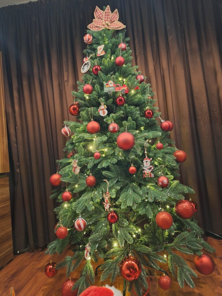 Image #1 from CRINA-MARIANA SERBAN