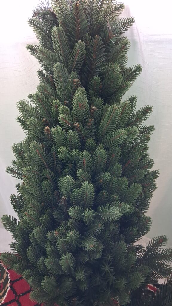 Image #1 from Alina H.