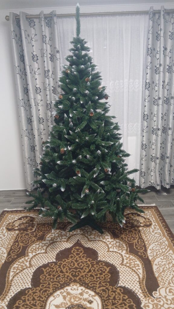 Image #1 from Vidrașcu Cerasela