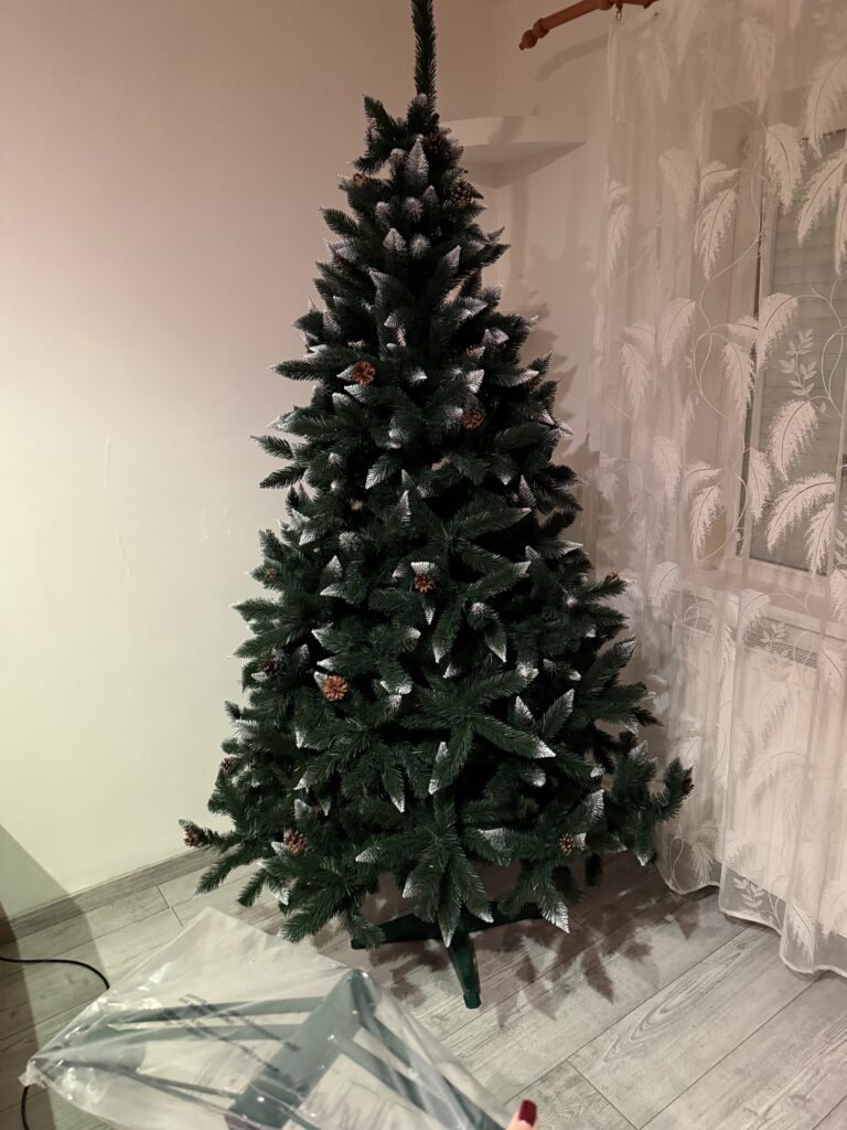 Image #1 from Mihaela