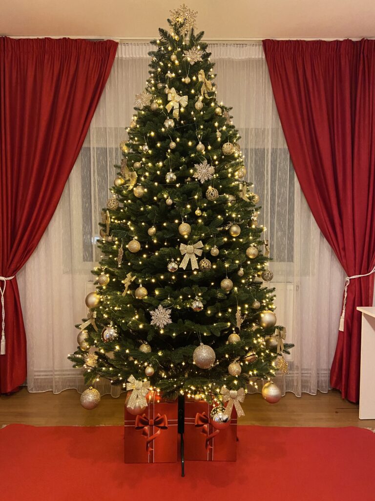 Image #1 from Loredana Maria