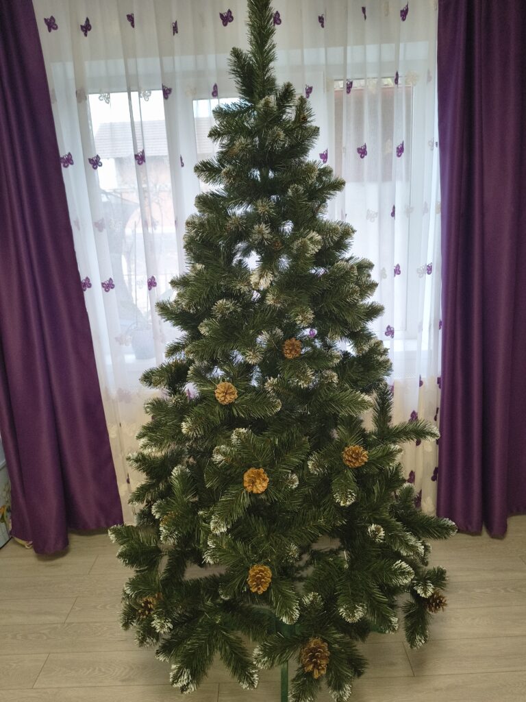 Image #1 from Iuliana Oglavie