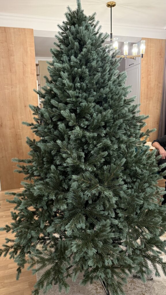 Image #1 from Doriana M