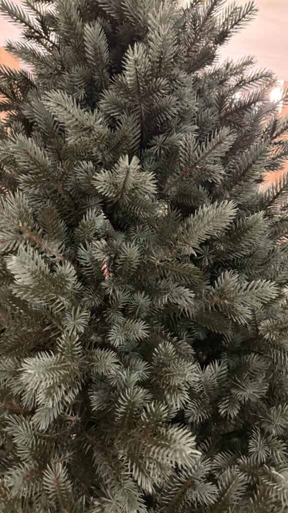 Image #2 from Doriana M