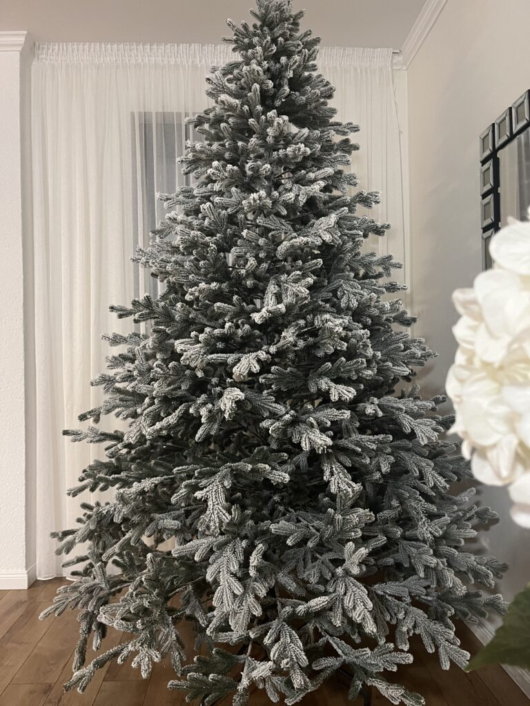 Image #1 from Tacaci Daniela