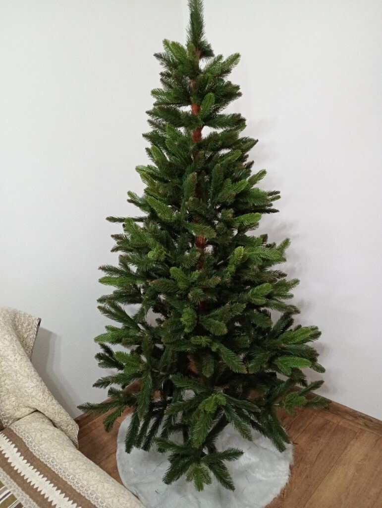 Image #1 from Roxana Grecescu