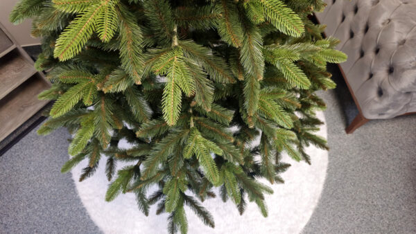 Brad artificial Christmas Deluxe by Sersimo, Victoria Special, 2D+3D, 220cm - imagine 12