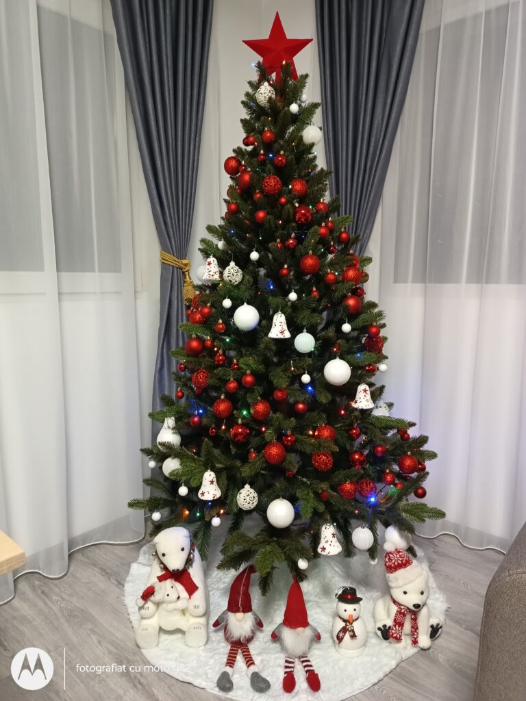 Image #1 from Raluca