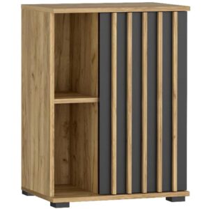 Comoda Montana 60 1D cu usa si 2 rafturi, 60x37x80 cm, craft si negru