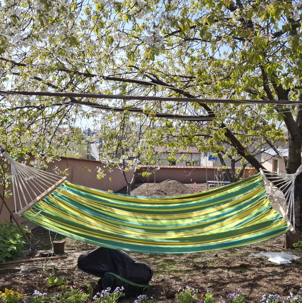 Image #1 from Cristina