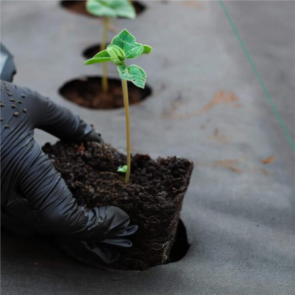 Folie agrotextil, mulcire, antiburuieni, filtru UV, 10 x 3.2metri, 90g/m2, negru - imagine 11