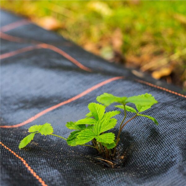 Folie agrotextil, mulcire, antiburuieni, filtru UV, 100 x 0.8metri, 70g/m2, negru - imagine 4