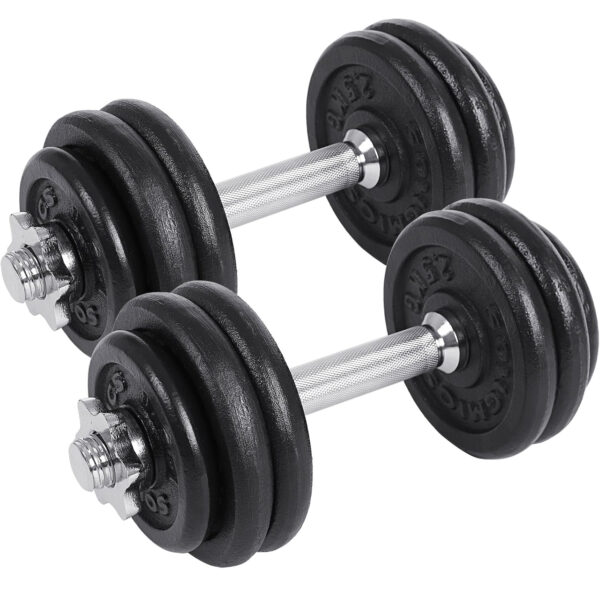 SONGMICS Set 2 gantere reglabile 30 kg, discuri fonta si bare otel, prindere anti-alunecare