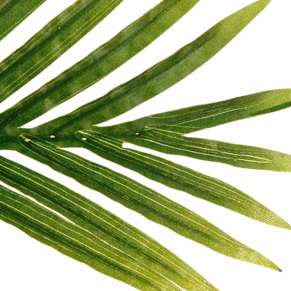 Palmier artificial cu ghiveci, 114x105x170 cm, verde - imagine 3