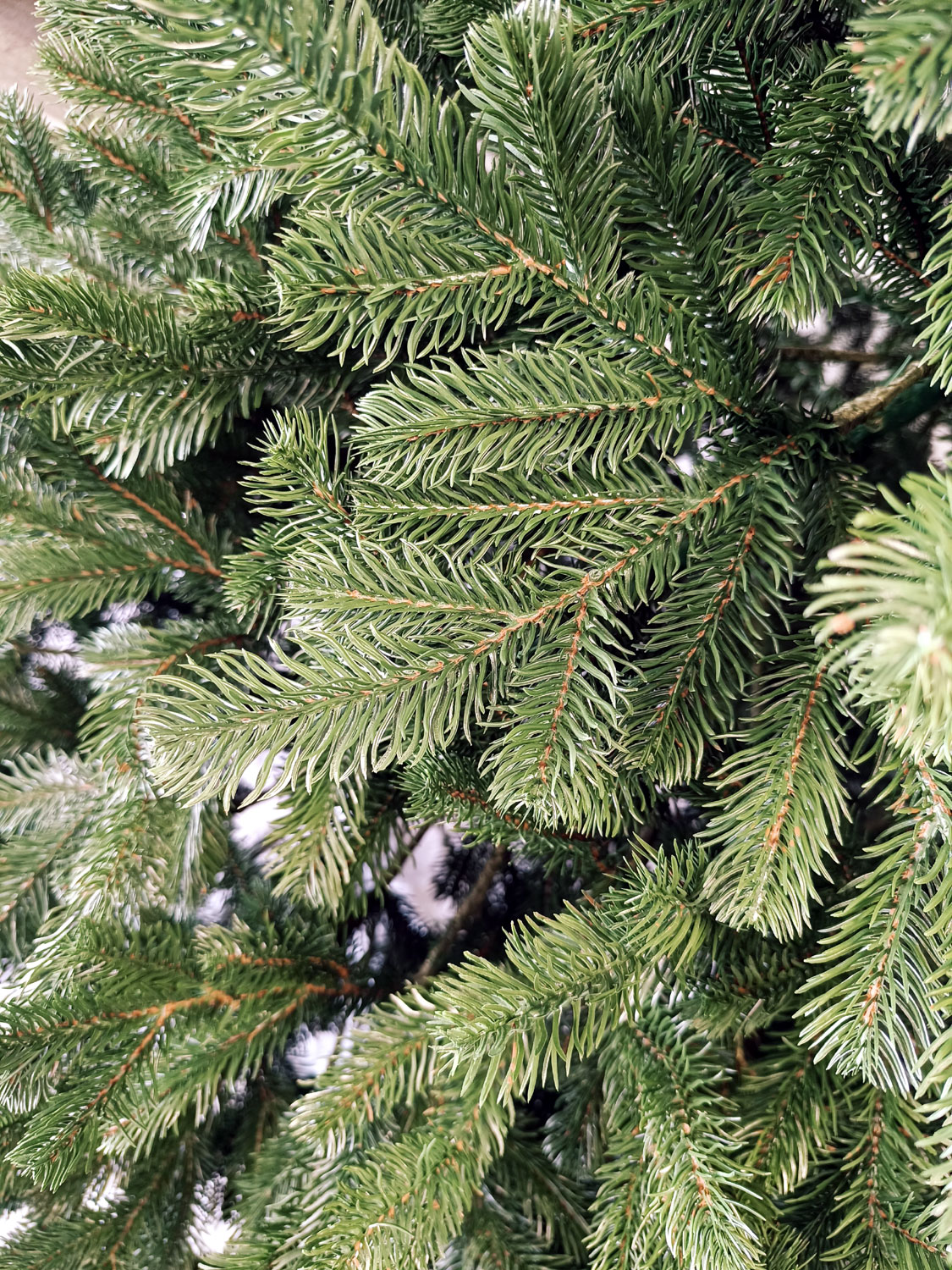 Brad artificial Christmas Deluxe by Sersimo, Kovalivska verde, 3D, 250cm - imagine 10