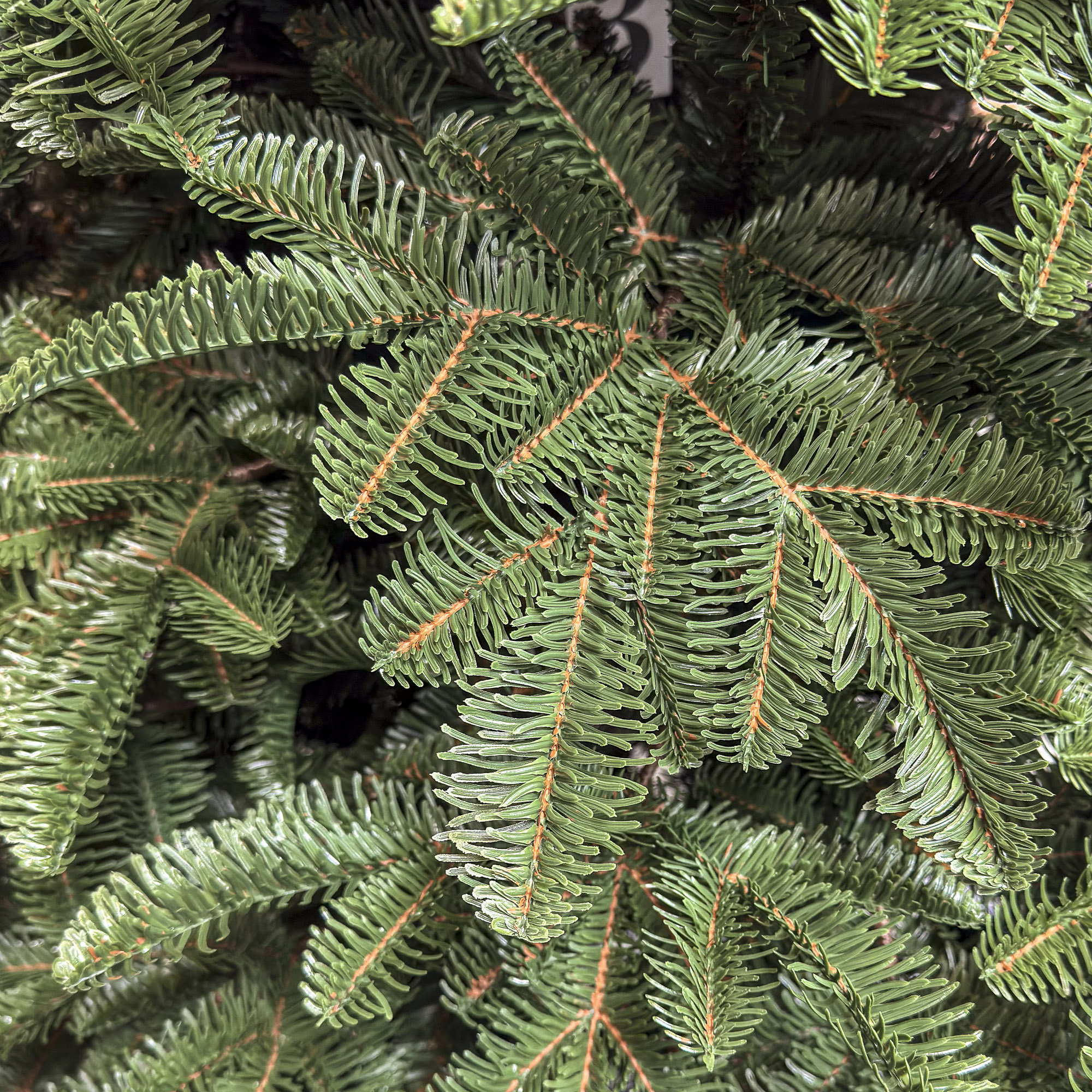 Brad artificial Christmas Deluxe by Sersimo, Alaska, verde, mix 2D+3D, 250 cm - imagine 2