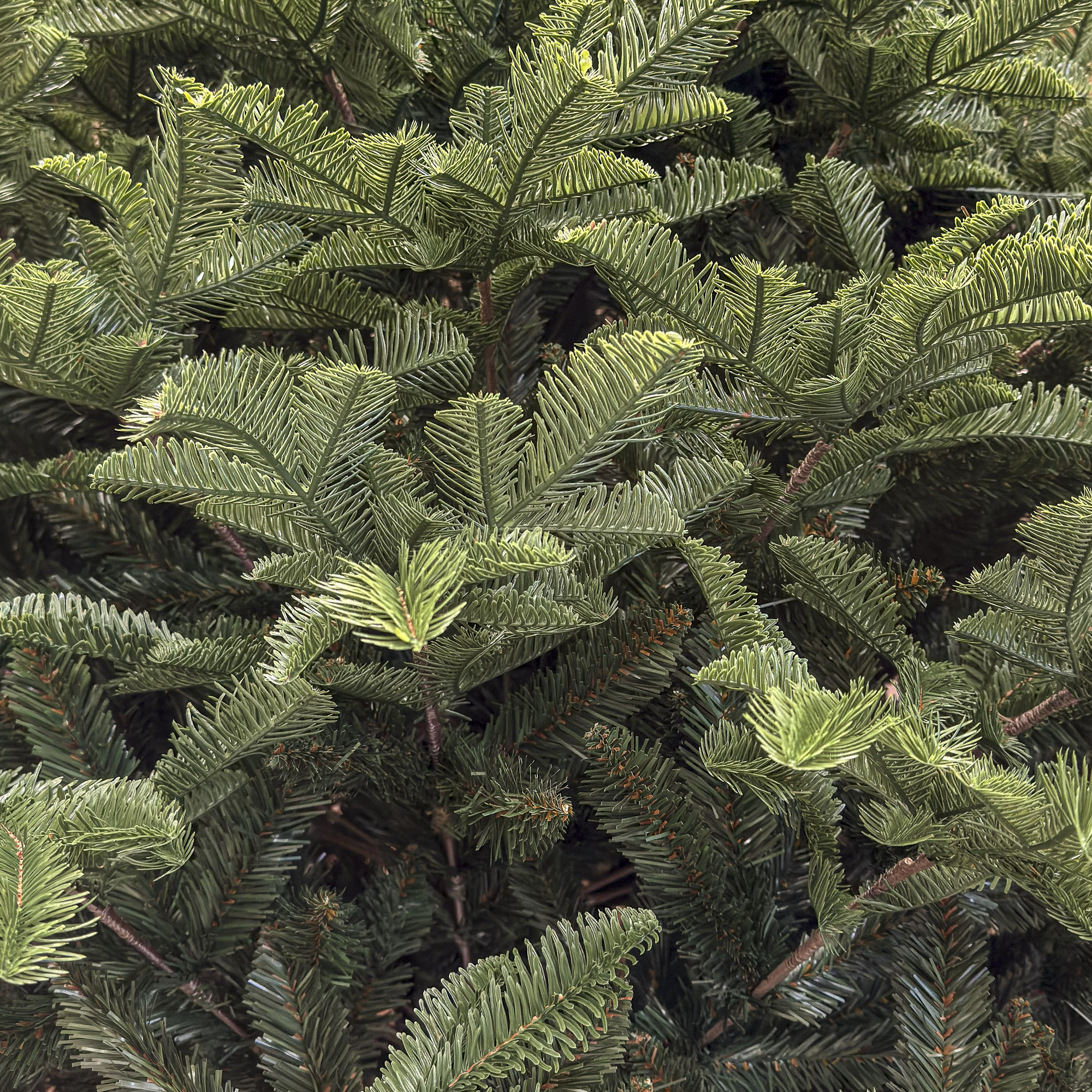 Brad artificial Christmas Deluxe by Sersimo, Alaska, verde, mix 2D+3D, 250 cm - imagine 3