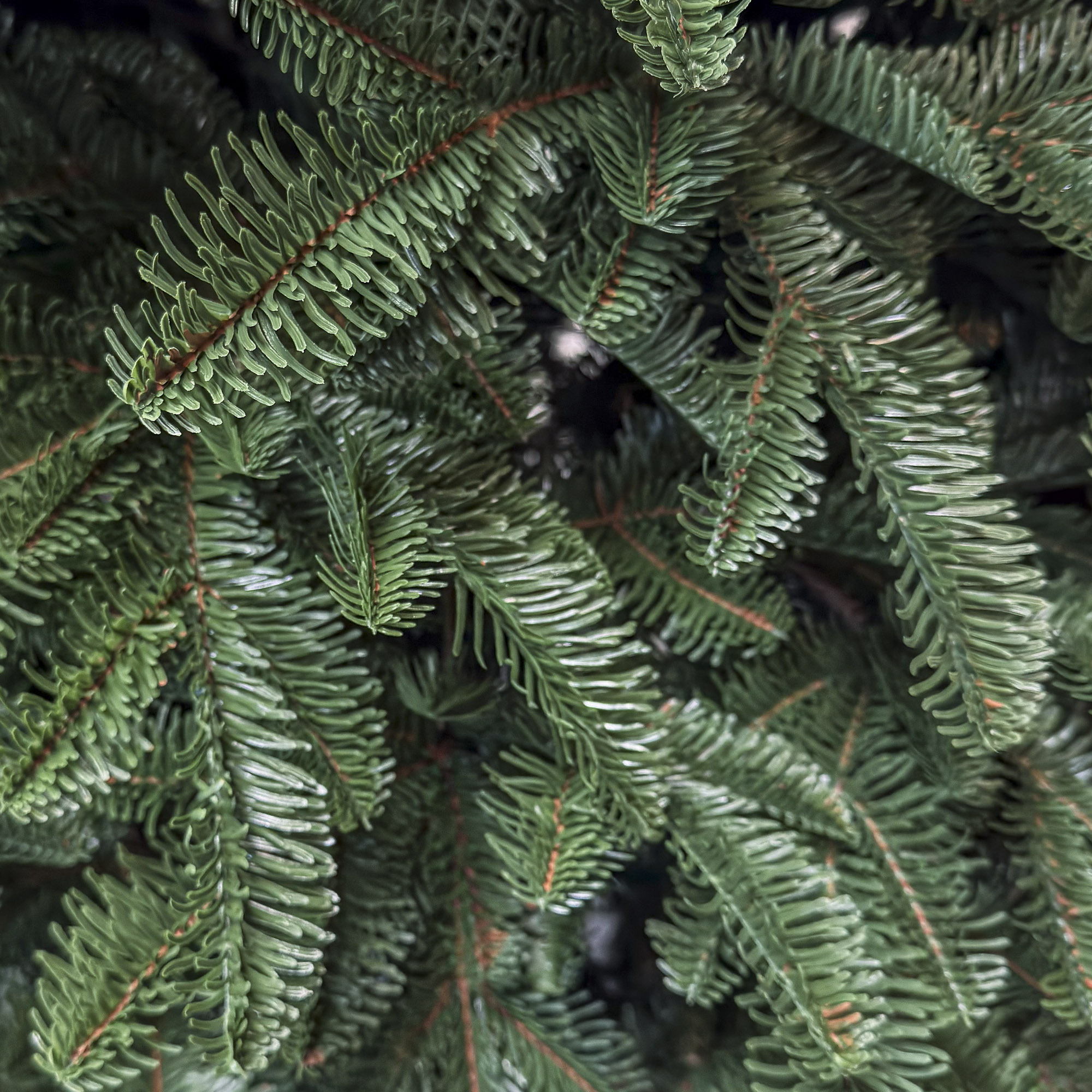 Brad artificial Christmas Deluxe by Sersimo, Alaska, verde, mix 2D+3D, 250 cm - imagine 5