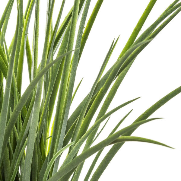 Planta decorativa Atmosphera, iarba in ghiveci impletit, 18x46 cm, maro natur - imagine 3