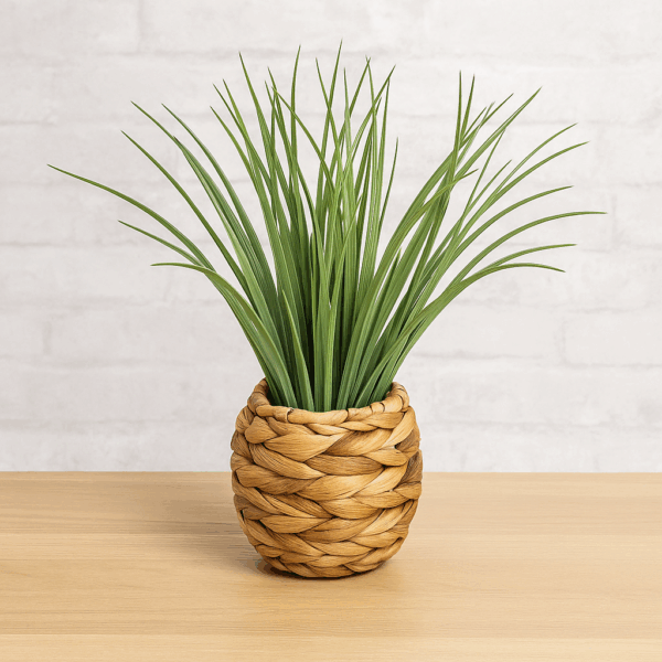 Planta decorativa Atmosphera, iarba in ghiveci impletit, 18x46 cm, maro natur - imagine 5