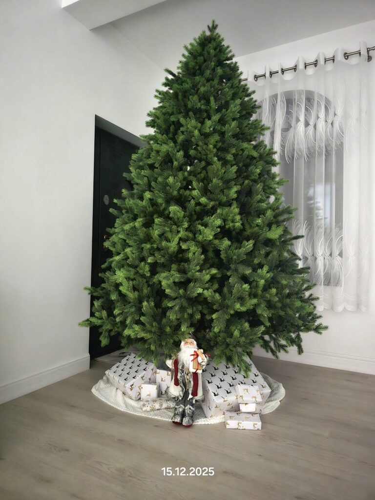 Image #1 from Nusa Nicoleta