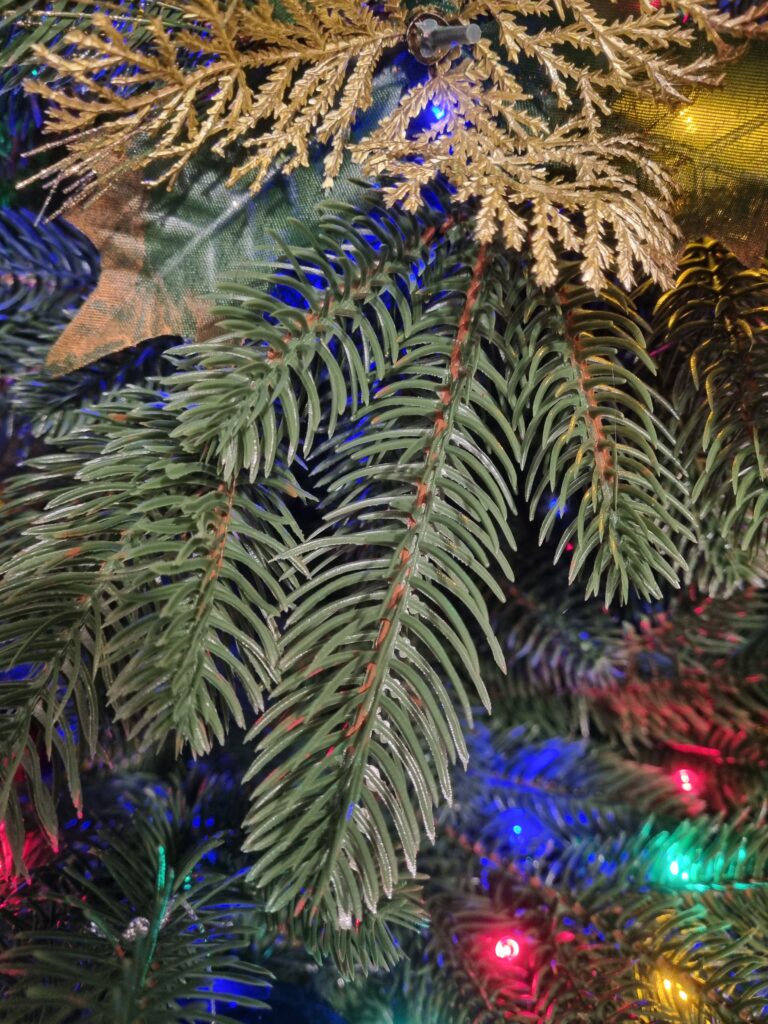 Image #3 from Adriana D.