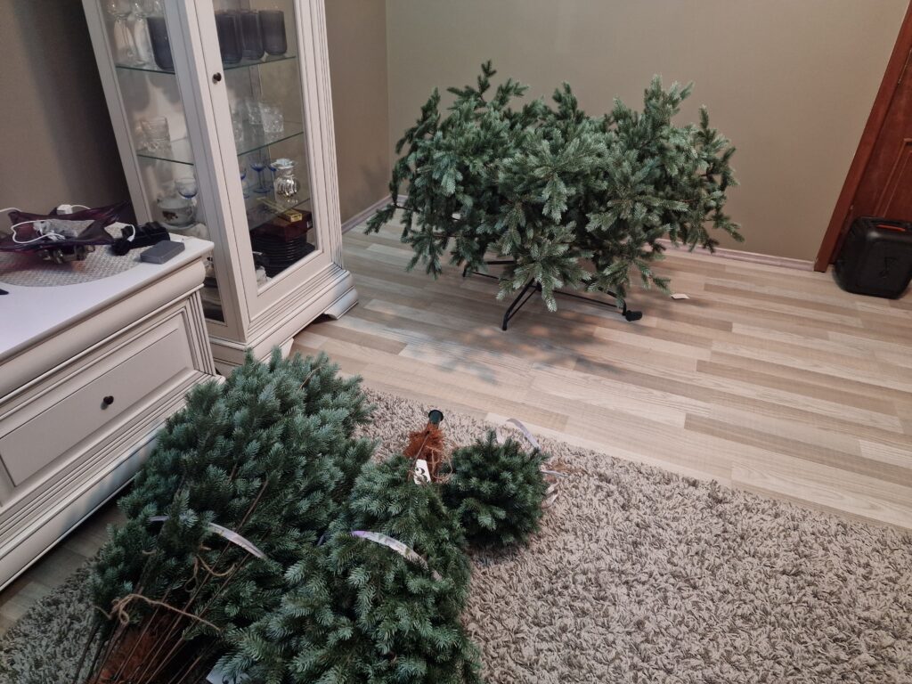 Image #2 from Adrian