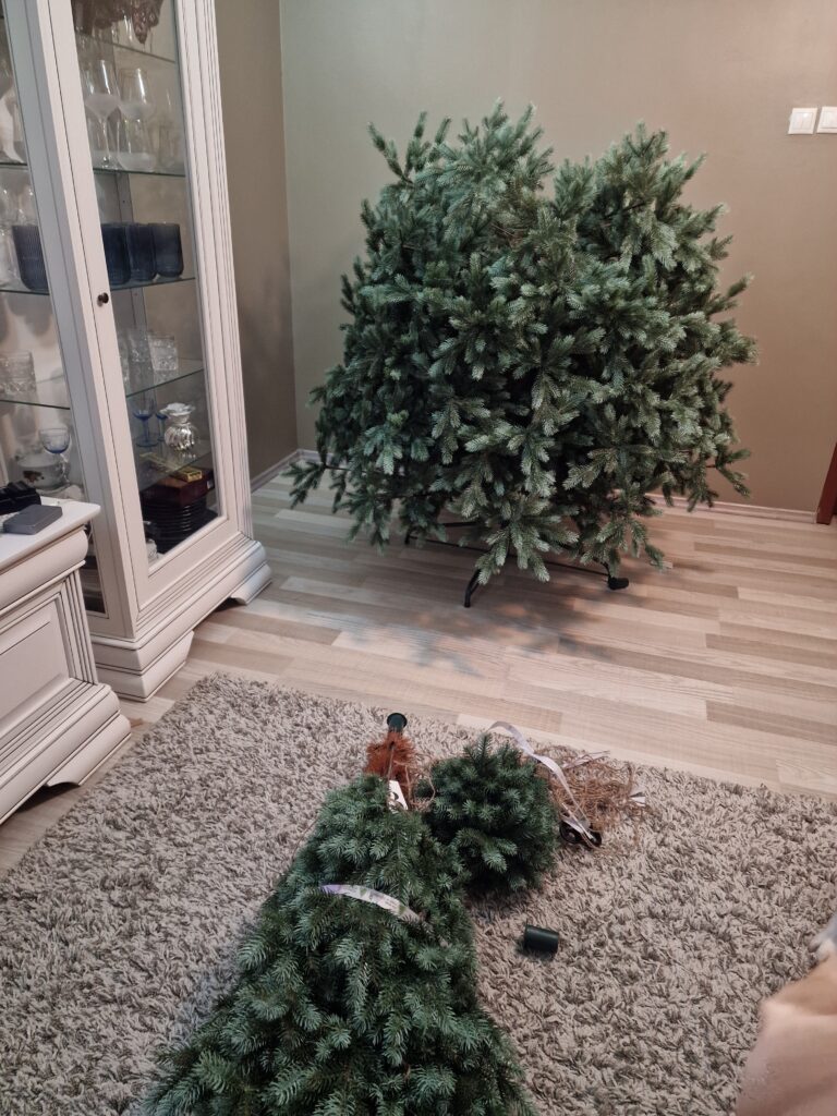 Image #3 from Adrian