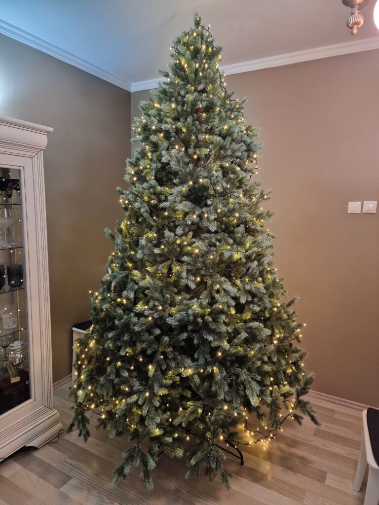 Image #5 from Adrian