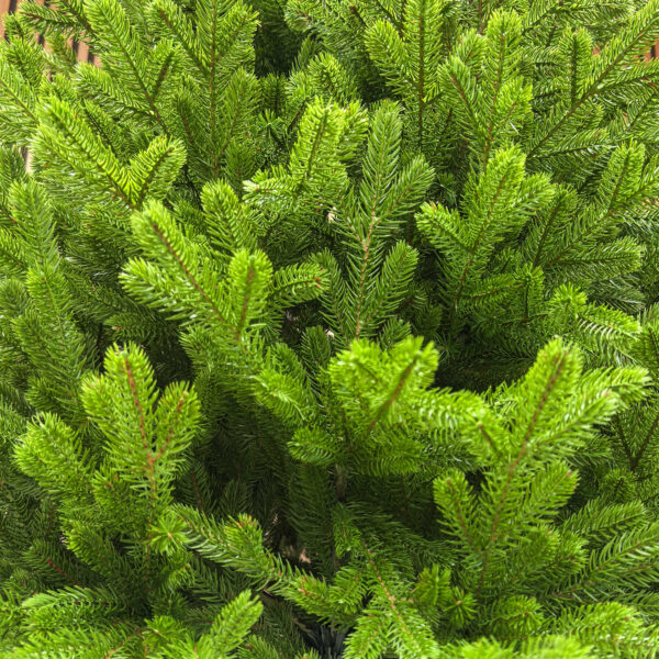 Brad artificial Sersimo, Alindra Elite, verde, integral 3D, 210 cm - imagine 7